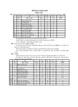 Đề kiểm tra thực hành môn Tin 7